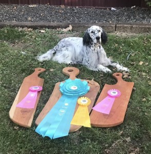 Linwood Additional Incentives