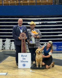 Maximus Bichota Baby