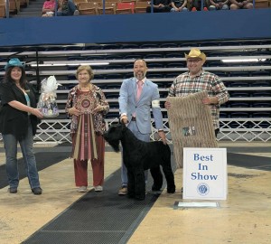 Pocker De Ases De Barba Negra