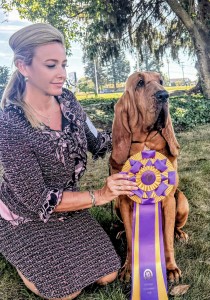 Quiet Creek’s Hot Toddy