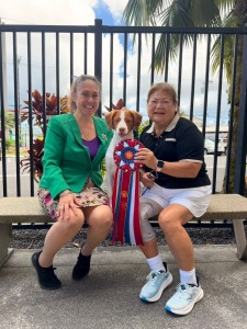 Windfalls Surprise In The Sky 1