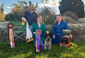 Wirewick Afterhours Feels Like A Regret