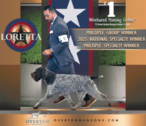 13 Richter_SR112025_06