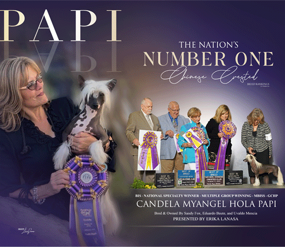 15 Fox_Papi_SR_0112025