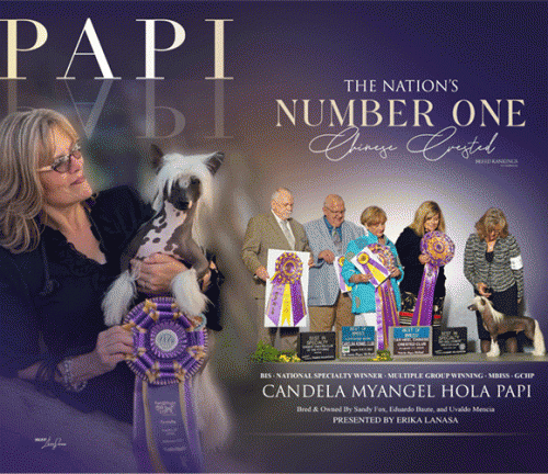 15 Fox_Papi_SR_0112025