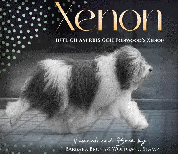 26 Wolfgang Stamp Bruns Paquette_SR042025