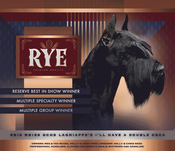 31 McGee RyeAnimated