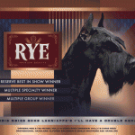 31 McGee RyeAnimated