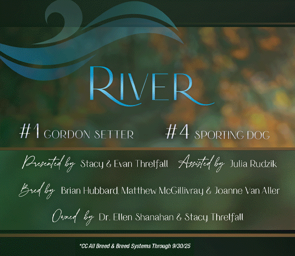 33 Shanahan_SR112025