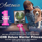 35 Lux_Julie_SR102025_04