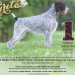 7 Hancock Chism_SR112025