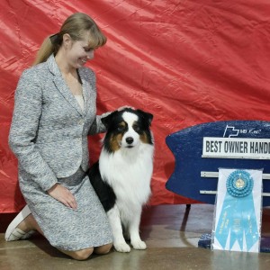 Ashwood’s Welcome to Wonderland