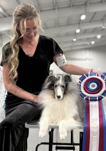 Blue Heavens Orange Crush