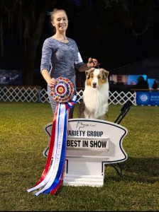 Catalinas Hired Gun @ Teyrnon