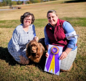 Clussexx Dreamhaven Hot Potato