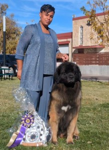 Corleone Navigator At Kalizmar