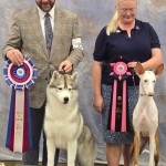Crystal Fountain Tanqueray At Snoebear