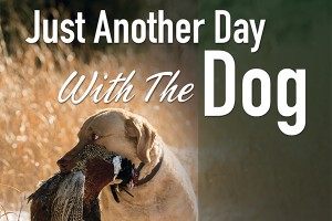 F Just Another Day with the Dog