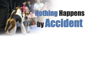 F Nothing Happens by Accident