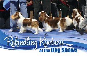 F Rekindling Kindness