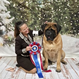 Impeccable's Odysseus The Faithful