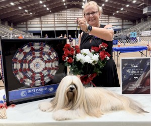 Kimik Tasen Westgate Spin The Bottle FDC 117