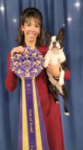 Lighthouse Bostons Busy Bee