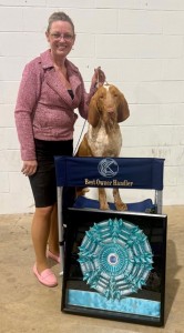 Monastero Del Regno Dei Bracchi