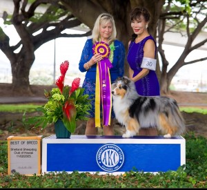 Mystic Suntime Queen of Hearts