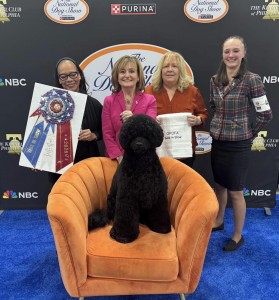 Odysea It's Always Sonny At Surfari