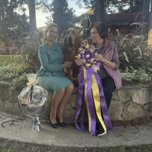 Quiet Creeks Hot Toddy