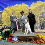 Solivias Defining Moment At Playlist