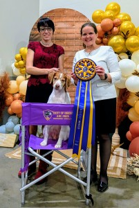 Sovereign’s Legendary Disciple