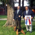 Studio Be Curious Jp Justice Hero