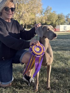 WinWeim Breica Harline Purple Rain