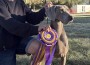 WinWeim Breica Harline Purple Rain