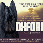 11 Smith_OdileSR_10_25