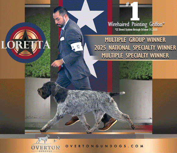 13 Richter_SR112025_06