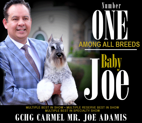 14 Lande+SR_Sept.8_22gif