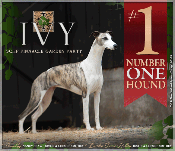 3 SHAW_SR_IVY1_82025