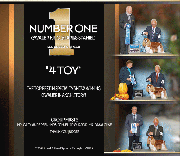 4 Marshall_SR122025_01