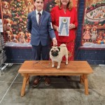 596837365_10241952243605340_2126625719103131052_n 596837365_10241952243605340_2126625719103131052_n