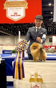 Artistry's Aslan All That is Good