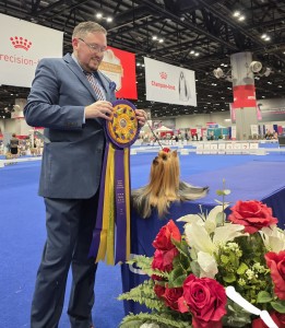 Blue-fantacy's Mr Lover Lover