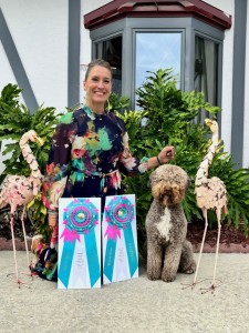 Boardwalk Here Comes The Sun 126