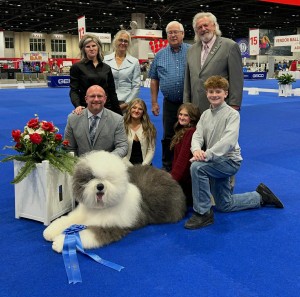 Bugaboo's Give Me S'more