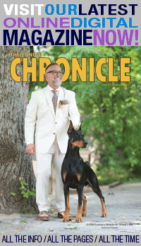 CC_Annual_2025_cover