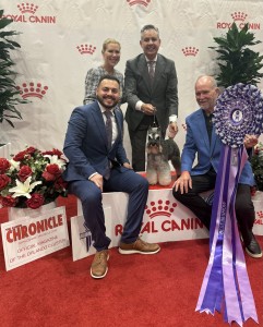 Carmel Mr. Joe Adamis