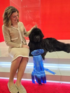 Chateaunewf's Harmonic Convergence