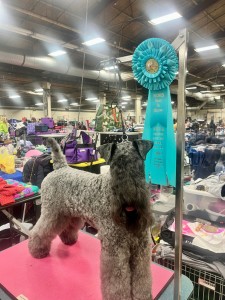 Cheron's Locked And Loaded 2